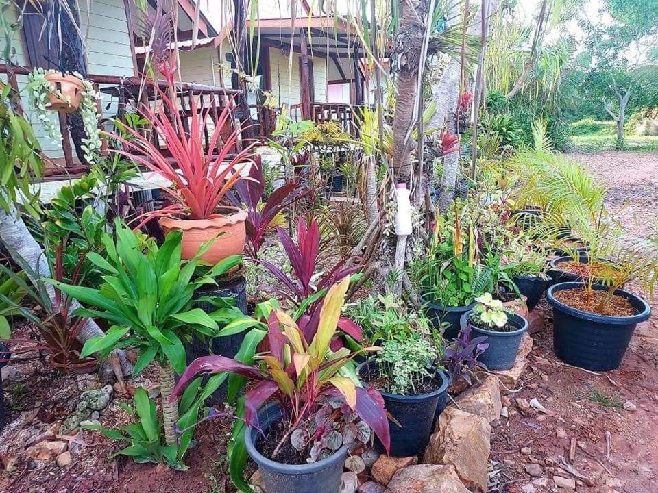 Blue Sky Bungalow Koh Jum Exterior photo